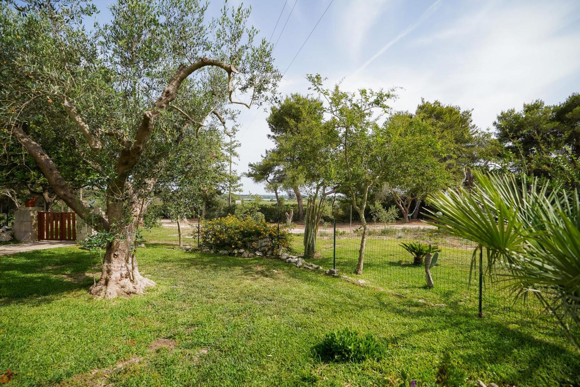 Casa Vacanza Russo Fernando Alimini Bagian luar foto
